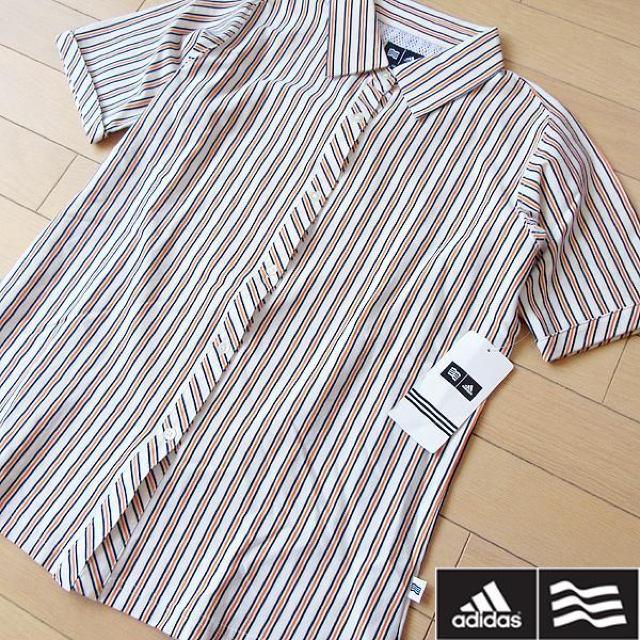 AVi M AfB_XSt fB[X XgCvVc   uh 