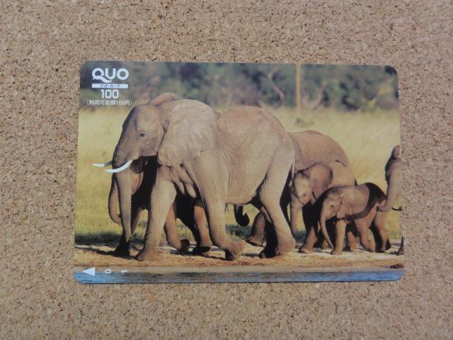 �N�I�J�[�h 100�~ 1��(���͑I�ׂ܂���) 