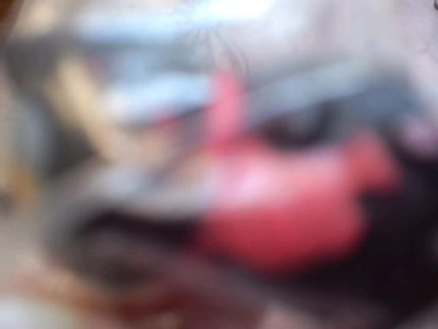 ĖڗFl jR搶tBMA  Aj/R~bN/LN^[ 