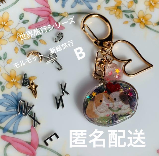 世界旅行シリーズ モルモットの新婚旅行 B 送料無料 < 女性ファッション  世界旅行シリーズ モルモットの新婚旅行 B 送料無料  < 女性ファッションの