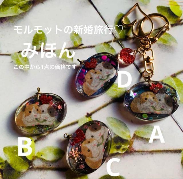 世界旅行シリーズ モルモットの新婚旅行 B 送料無料 < 女性ファッション  世界旅行シリーズ モルモットの新婚旅行 B 送料無料 < 女性ファッションの