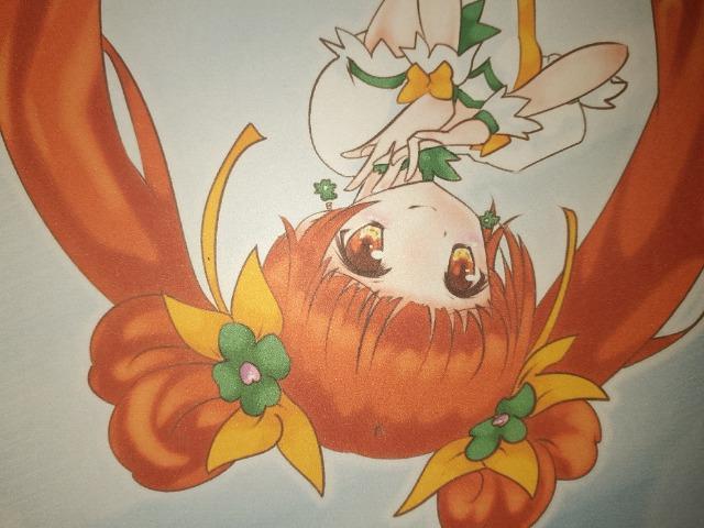 �v���L���A�j�������C���X�g �� �A�j��/�R�~�b�N/�L�����N�^�[�� 