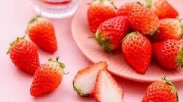 いちごのお鉢+季節の種セット+選べる粗品+全国匿名送料無料です\(^o^)/ < ペット/手芸/園芸  いちごのお鉢+季節の種セット+選べる粗品+全国匿名送料無料です\(^o^)/ < ペット/手芸/園芸の