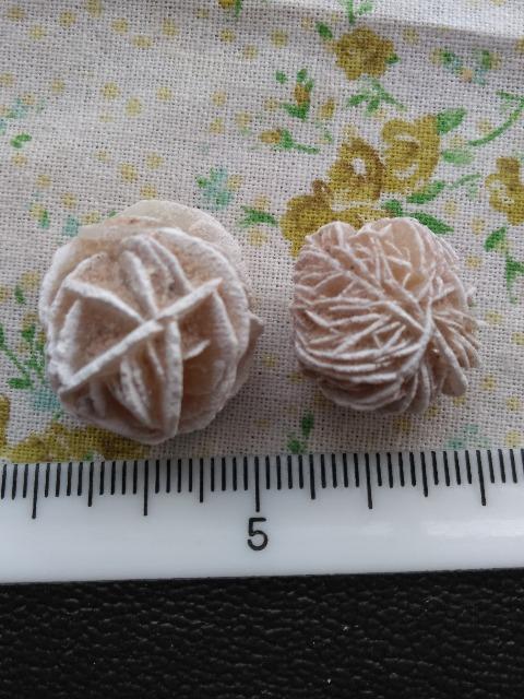 デザートローズ(砂漠の薔薇)小11個 < インテリア/ライフ デザートローズ(砂漠の薔薇)小11個 < インテリア/ライフの