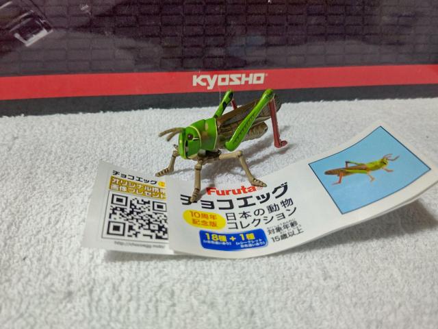 �`���R�G�b�O 10th ���{�̓��� �g�m�T�}�o�b�^  �� �z�r�[�� 