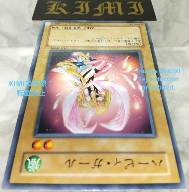 ハーピィ・ガール YSD3-JP006 2008 遊戯王 トレーディングカード < トレーディングカード  ハーピィ・ガール YSD3-JP006 2008 遊戯王 トレーディングカード < トレーディングカードの