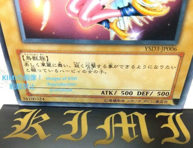 ハーピィ・ガール YSD3-JP006 2008 遊戯王 トレーディングカード < トレーディングカード  ハーピィ・ガール YSD3-JP006 2008 遊戯王 トレーディングカード < トレーディングカードの