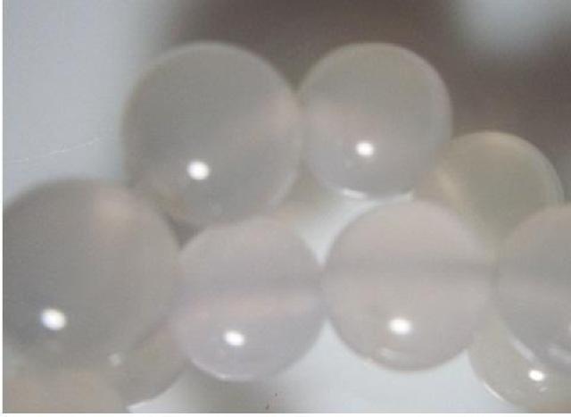 �V�R�΁��z���C�g�I�j�L�X�W���������A �� �y�b�g/��|/���|�� 