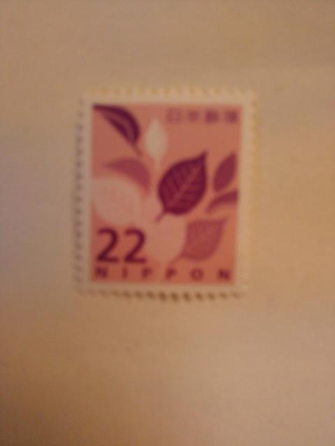 gpi@ʐ؎@QQ~؎@P   zr[ 