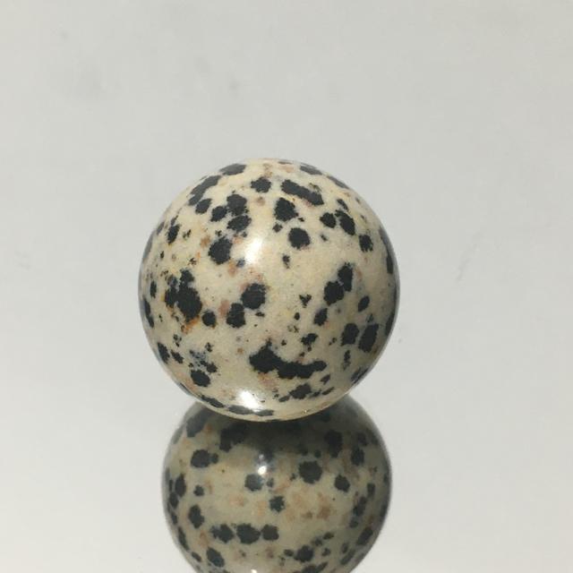 suNo.298tVR΃_VAWXp[@XtBA@ۋ 