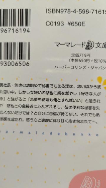 ��q�s���̏������В��͗c����̕З��鏑������Ɛ�~�Ŋт����������c���������}�[�}���[�h���� �� �{/�G���� 