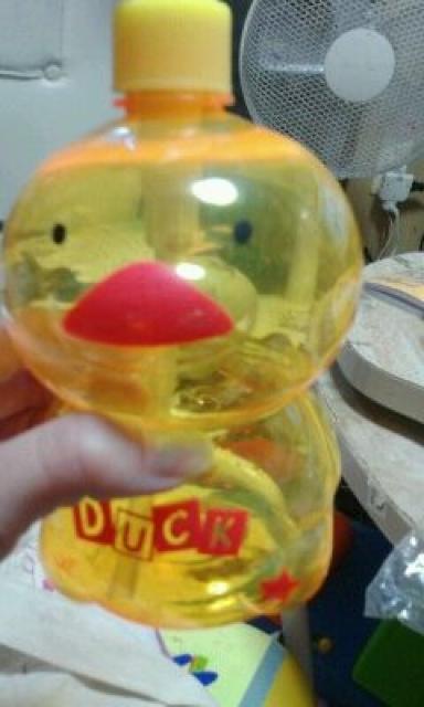 �A�q���`�����{�g��  �� �C���e���A/���C�t�� 