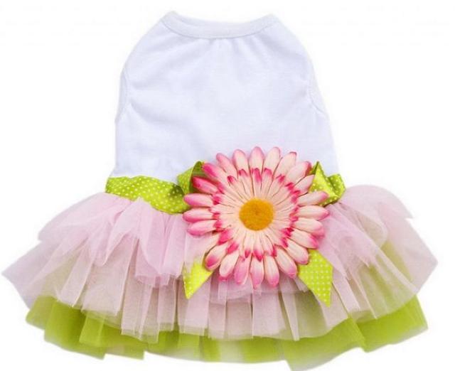 コサージュ付き ワンピースドレス L★新品 〜5kg位 < ペット/手芸/園芸  コサージュ付き ワンピースドレス L★新品 〜5kg位 < ペット/手芸/園芸の