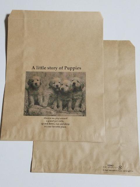 R50�T�C�Y���܁����g���X�g�[���[��A5�����鎆��10�� 