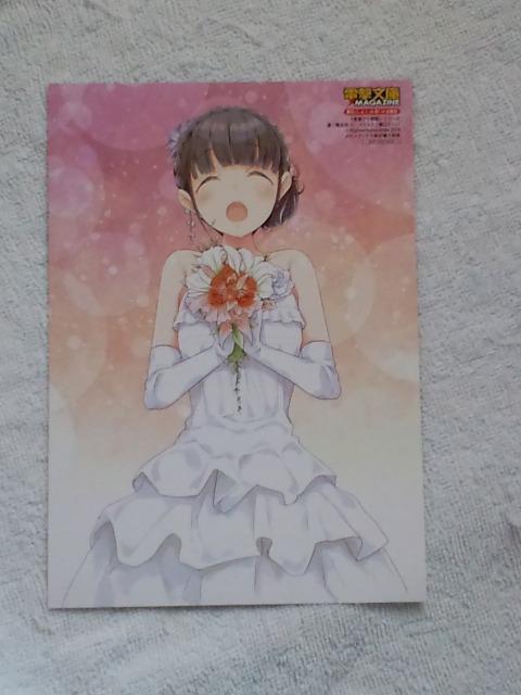 tu^YV[Y񔄕iJ_[J[h   Aj/R~bN/LN^[ 