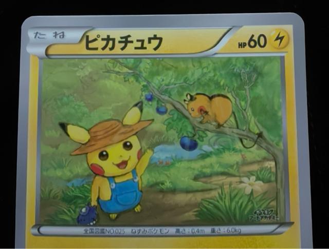 【世界100枚限定】ピカチュウ アートアカデミー 入賞作品 gogotake XY-P プロモ 極美品 非売品 引退品 < トレーディングカード 【世界100枚限定】ピカチュウ アートアカデミー 入賞作品 gogotake XY-P プロモ 極美品 非売品 引退品 < トレーディングカードの