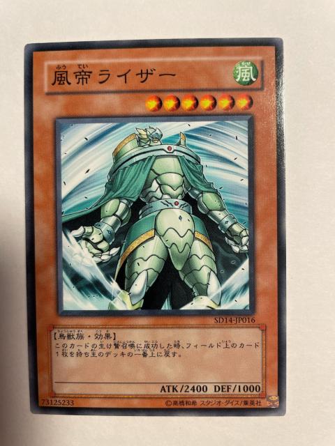 VYyE郉CU[z  g[fBOJ[h 