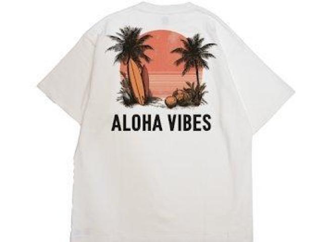 nCNIeB[ TVcnC T[tB ][g   t@bV 