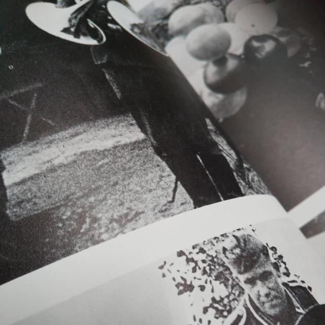 ドイツ電撃戦 < 本/雑誌 ドイツ電撃戦 < 本/雑誌の