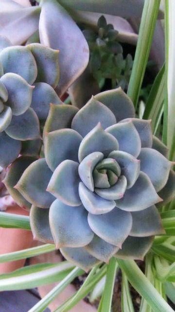 ρ@t}@摜1tI   ybg/|/| 