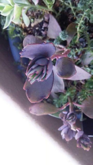 ρ@t}@摜1tI  ybg/|/| 