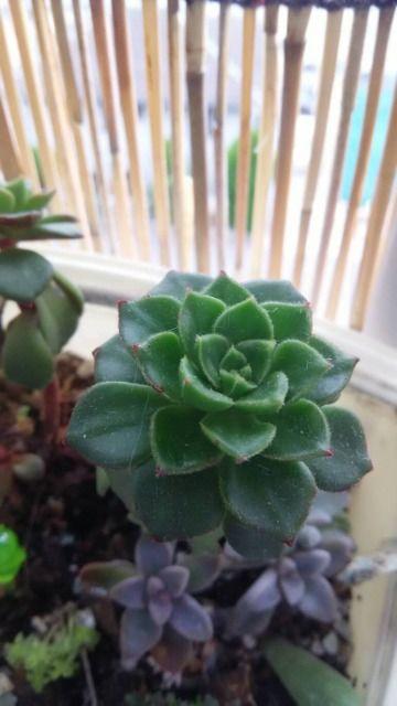 ρ@t}@摜1tI  ybg/|/| 