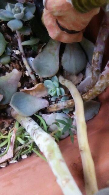 ρ@t}@摜1tI  ybg/|/| 