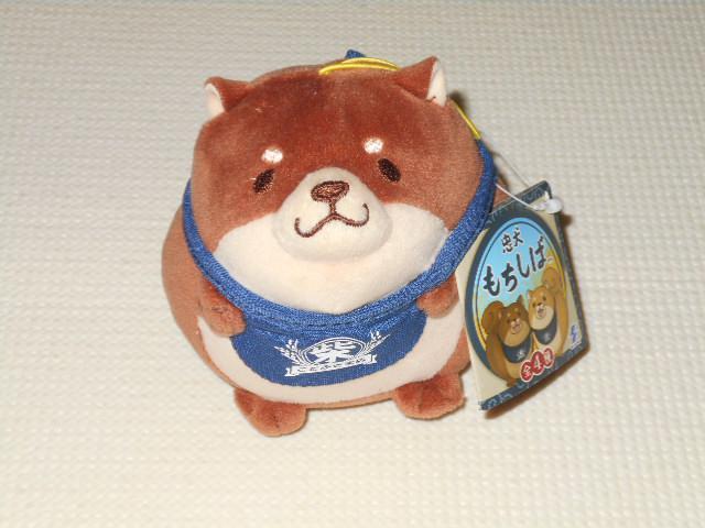  fBtH}XRbg    Aj/R~bN/LN^[ 