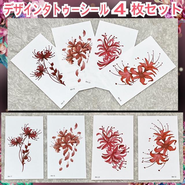 fUC^gD[V[4Zbg/t[   ANZT[/v 