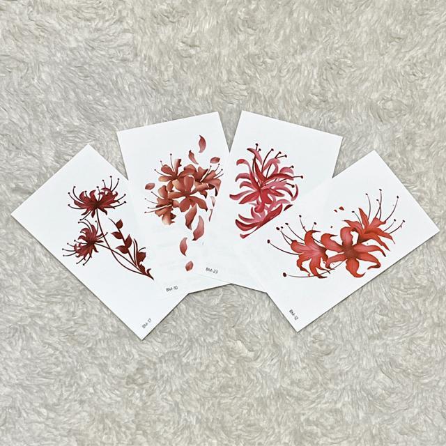 fUC^gD[V[4Zbg/t[  ANZT[/v 