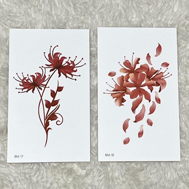 fUC^gD[V[4Zbg/t[  ANZT[/v 