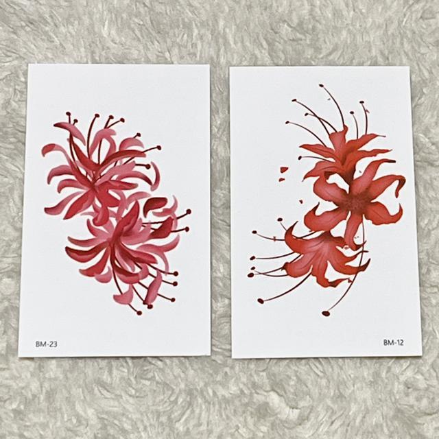 fUC^gD[V[4Zbg/t[  ANZT[/v 