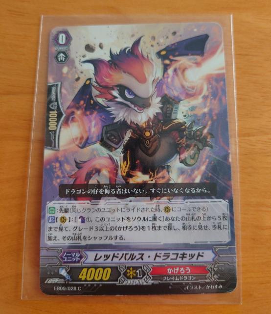 J[ht@CgII@K[h bhpXEhRLbh m[} EB09/028 C 829 