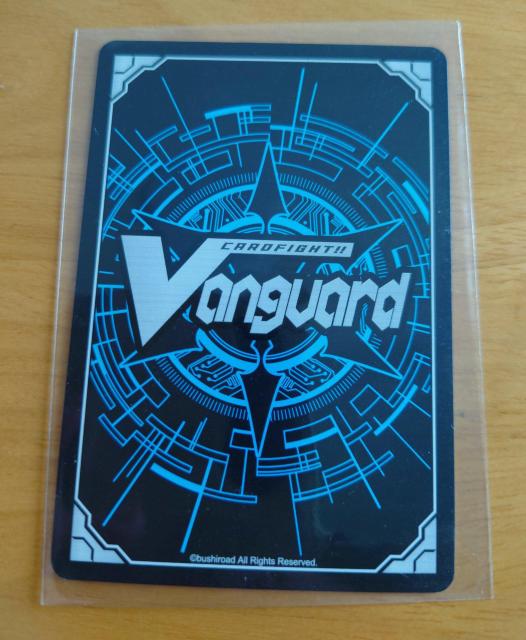 J[ht@CgII@K[h bhpXEhRLbh m[} EB09/028 C 829