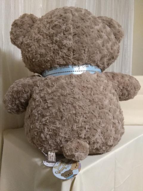 Sweet�@Hug�@Bear�@BIG�ʂ�����݁@�u���E��