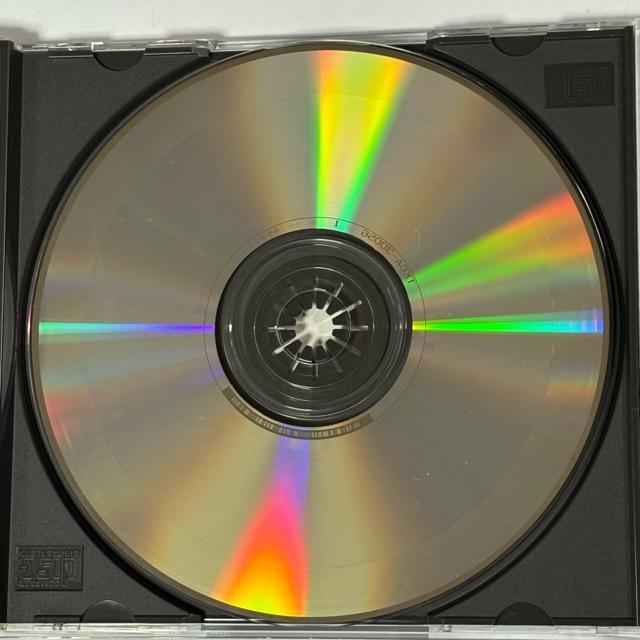 THE POGO / 1990 < CD/DVD/ビデオ  THE POGO / 1990 < CD/DVD/ビデオの