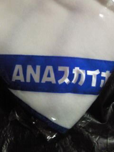 S{A ANA XJCzf[  uPbg zCg 肠   zr[ 