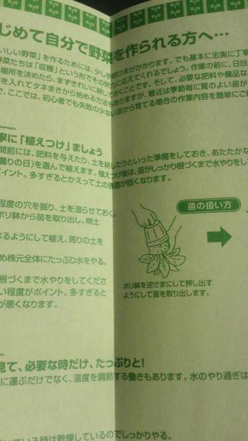 ƒ؉A؍̊{ƍq  ybg/|/| 