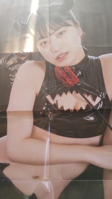 吉田莉桜の両面ポスター < 本/雑誌  吉田莉桜の両面ポスター < 本/雑誌の