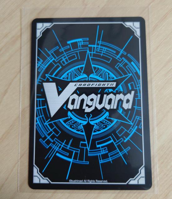 @K[h m[} v̉ [WO G-BT04/077 C 695