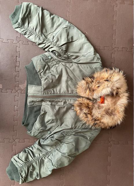 MOUSSY }EW[ t@[t V[g MA-1є(^kL)gp@TCY1~^[J[L@M`LTCY@shelter