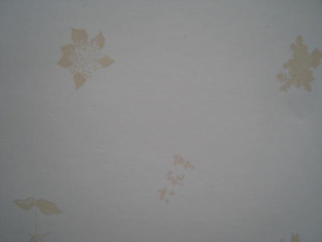 ☆ 六花亭 ☆パッケージ ☆ お菓子の空き箱 ☆ 38個セット ☆ 紙の箱 < ホビー ☆ 六花亭 ☆パッケージ ☆ お菓子の空き箱 ☆ 38個セット ☆ 紙の箱 < ホビーの