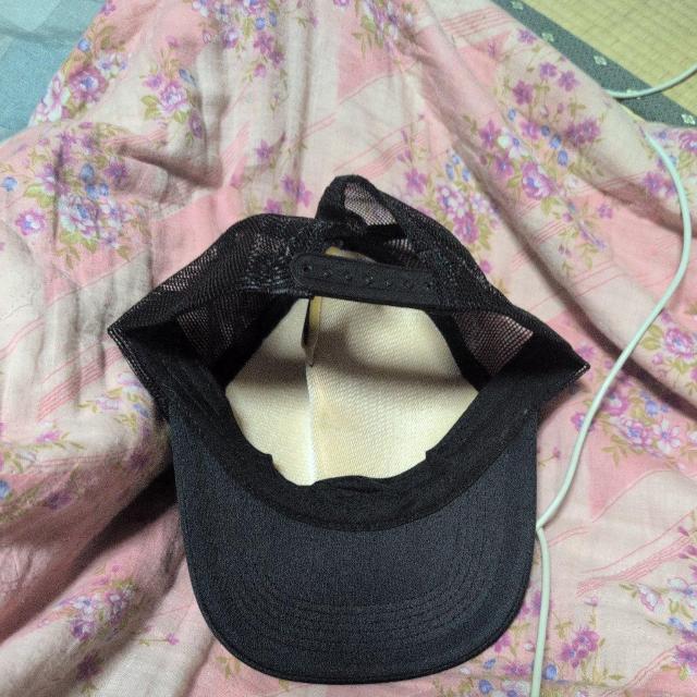 �W���j�[�Y�փW���j�G�C�g�X�q �� �^�����g�O�b�Y�� 