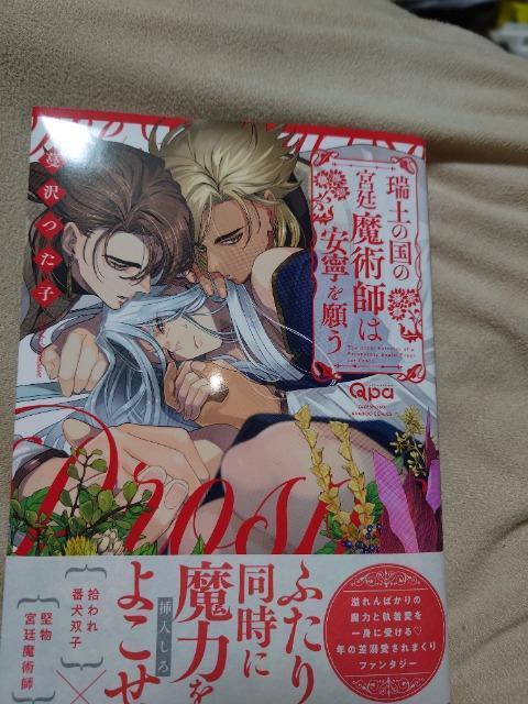 BL*【瑞土の国の宮廷魔術師は安寧を願う】蔓沢つた子 < アニメ/コミック/キャラクター BL*【瑞土の国の宮廷魔術師は安寧を願う】蔓沢つた子 < アニメ/コミック/キャラクターの