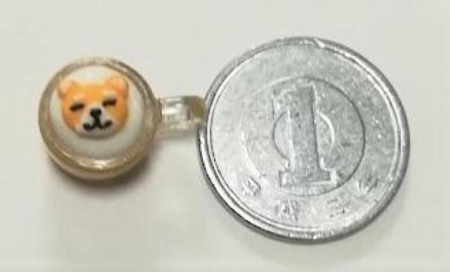 ~j`A񁚃Jv`[mJbv~jCh[   