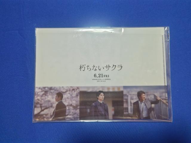   A5 ʃNAt@C '24 ȂTN gp  zr[ 