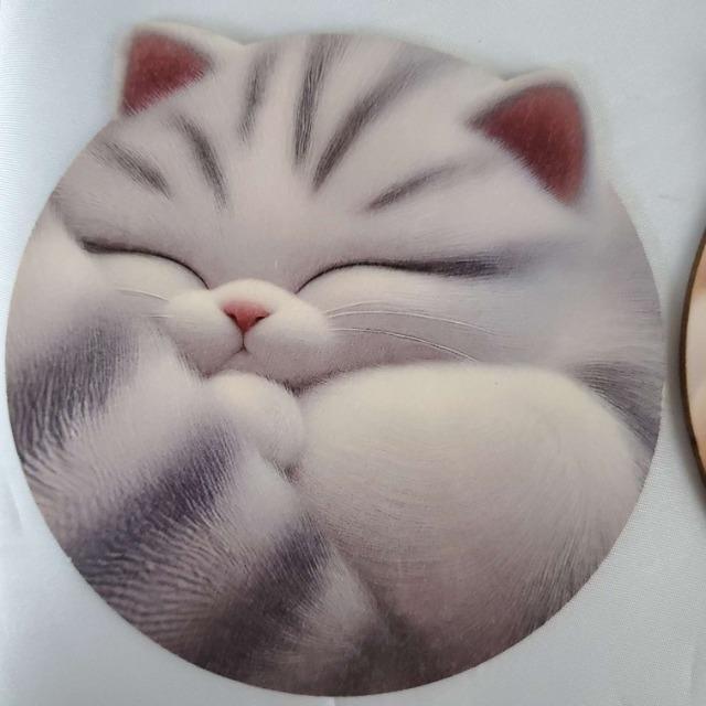 ݁(^O^)^˂fUCIؐR[X^[6Zbg  CeA/Ct 