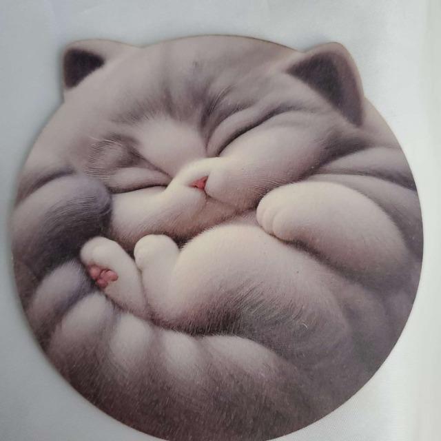 ݁(^O^)^˂fUCIؐR[X^[6Zbg  CeA/Ct 