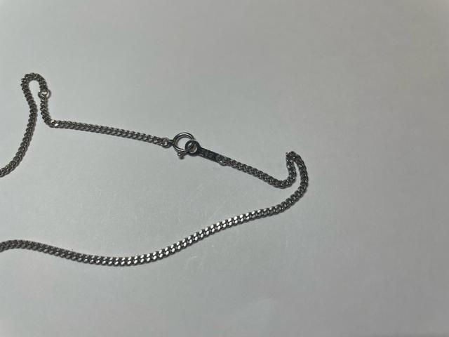 �l�b�N���X�@Pt850 �v���`�i�@�약2�ʃJ�b�g�@�����Ǎ���@7.6g 5g�ȏ�@10g�ȉ��@������45cm �A�W���J���t�@���Õi �� �����A�N�Z�T���[/���v�� 