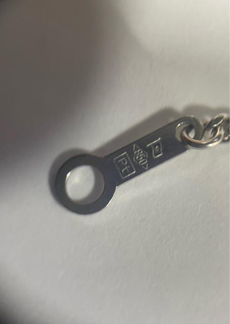 �l�b�N���X�@Pt850 �v���`�i�@�약2�ʃJ�b�g�@�����Ǎ���@7.6g 5g�ȏ�@10g�ȉ��@������45cm �A�W���J���t�@���Õi �� �����A�N�Z�T���[/���v�� 